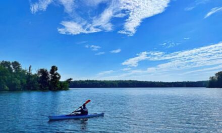 This Week In The Carolinas: Summer Adventures, Art, and Sky-High Views