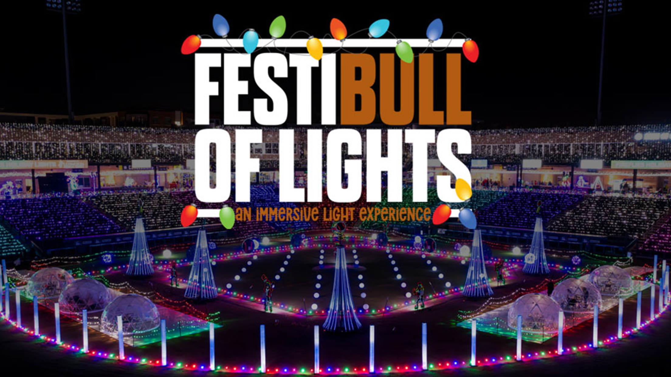 FestiBull of Lights