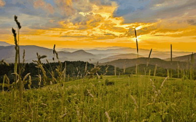 Backpacking the Appalachian Trail