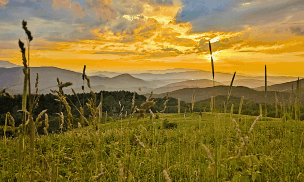 Backpacking the Appalachian Trail