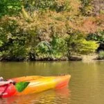 Fall Day Trips – 2025