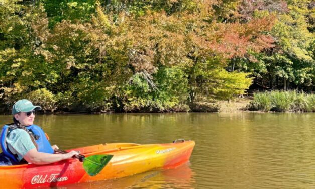 Fall Day Trips – 2025