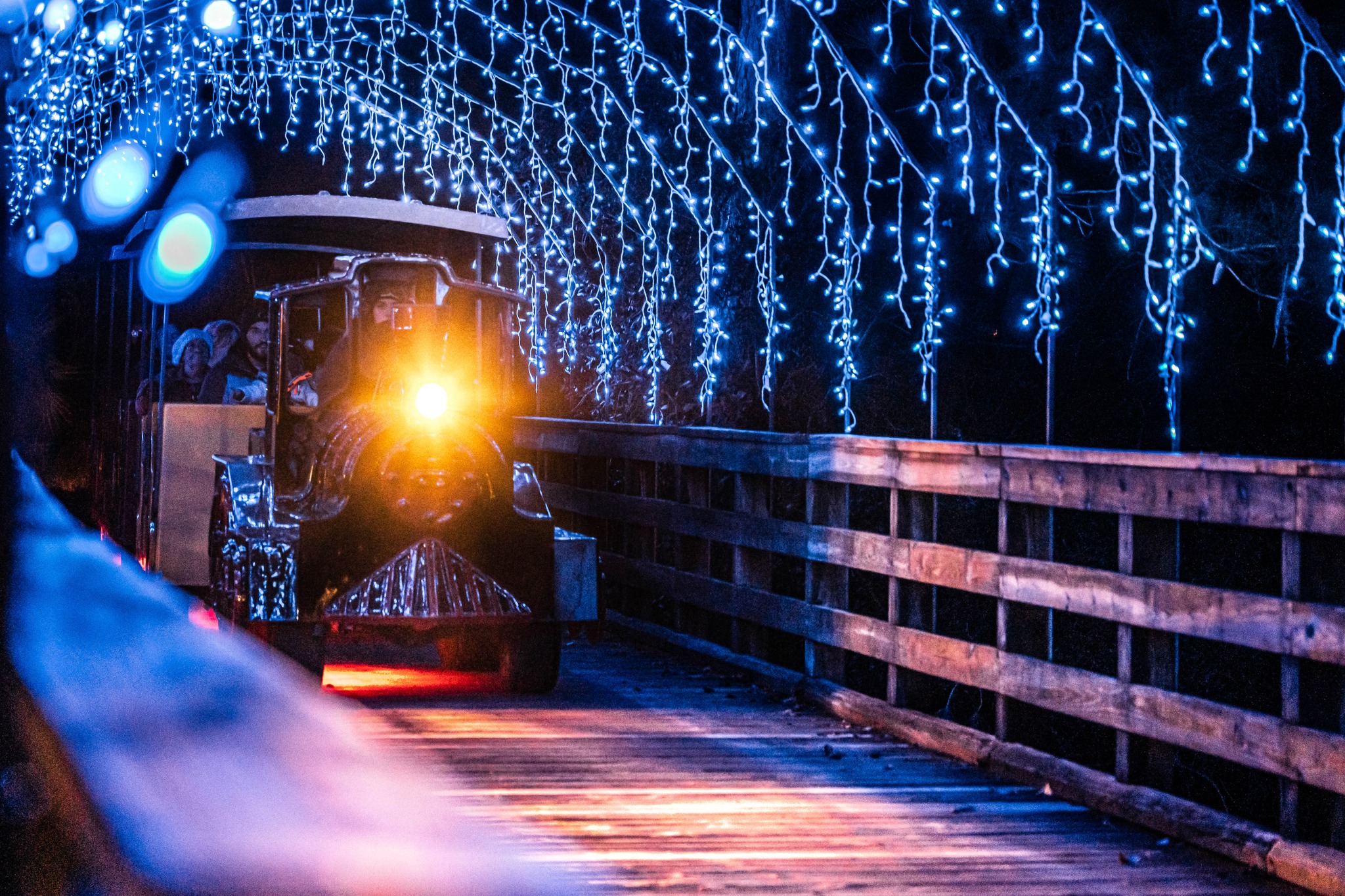 Charleston Holiday Festival of Lights
