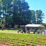 Fall Family Fun Adventure Guide