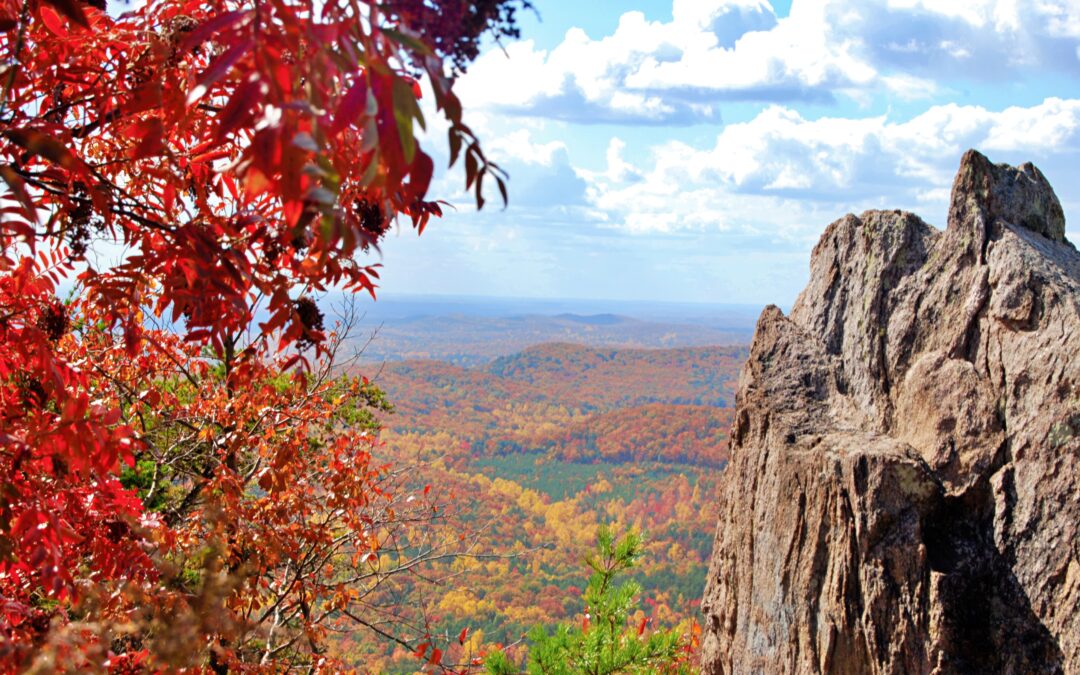 A Fall Journey Along the Ridgeline Craft Beverage Trail