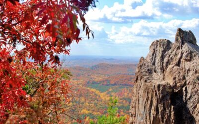 A Fall Journey Along the Ridgeline Craft Beverage Trail