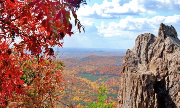 A Fall Journey Along the Ridgeline Craft Beverage Trail