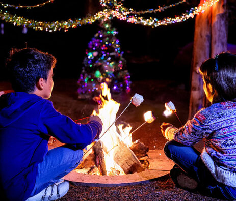 Southern Lights at the Gardens of Southeastern North Carolina