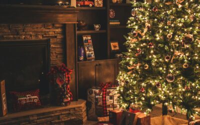 Make Your List and Check It Twice: The Ultimate Holiday Gift Guide For Carolina Travelers