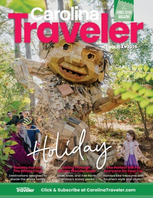 Raleigh North Carolina Dix Park Dambo troll