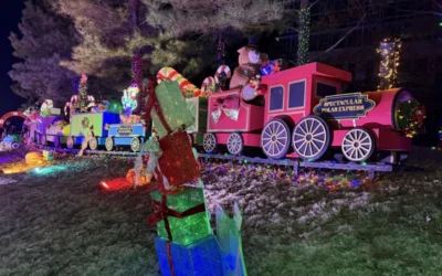 A Night Out at the NC Holiday Lights Spectacular in Charlotte