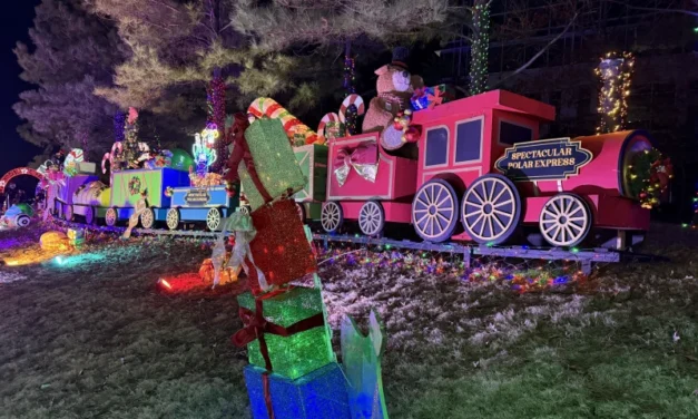 A Night Out at the NC Holiday Lights Spectacular in Charlotte