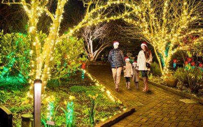 Holiday Adventures for the Whole Crew: Christmas in the Carolinas