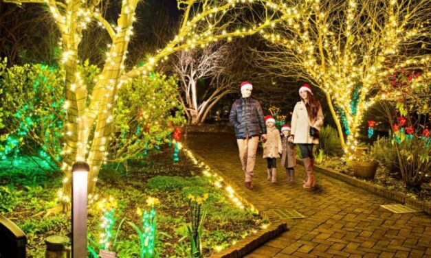 Holiday Adventures for the Whole Crew: Christmas in the Carolinas