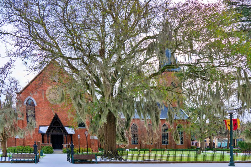 new-bern-christ-church-800×533-color Spanish moss at Christ Church in New Bern, NC