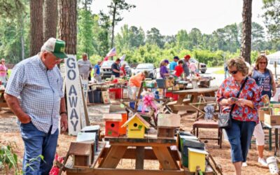 Your Ultimate Antique Treasure Hunt: The 301 Endless Yard Sale