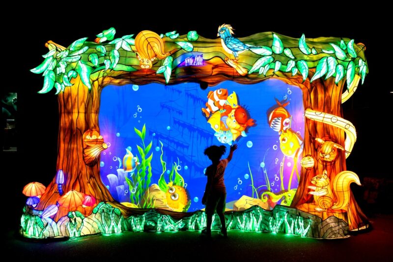 348_Lou_Wildlights_24-scaled-D_WEB