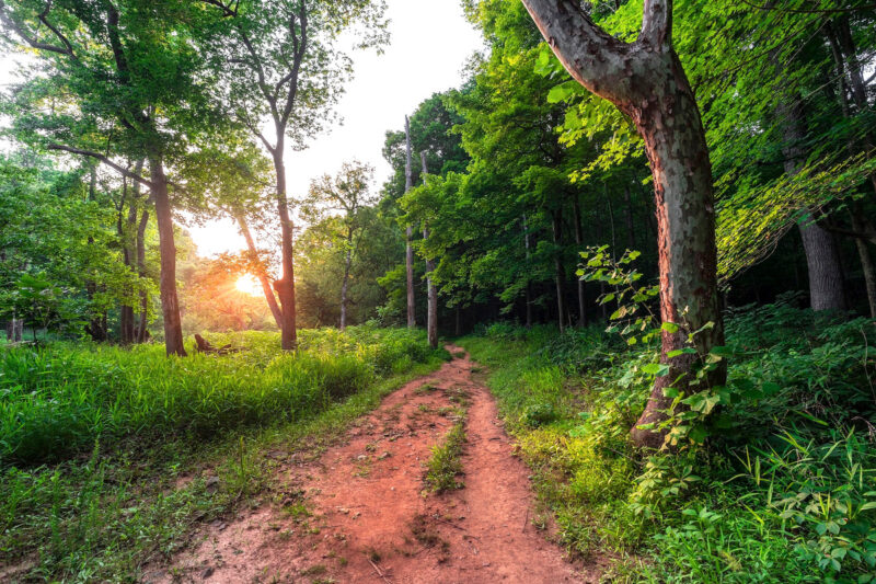 Eno River State Park Day trips