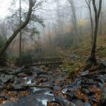Rough Ridge: The Blue Ridge Parkway’s Best Two Hours