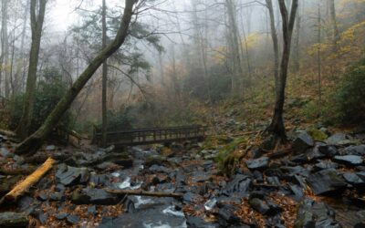 Rough Ridge: The Blue Ridge Parkway’s Best Two Hours