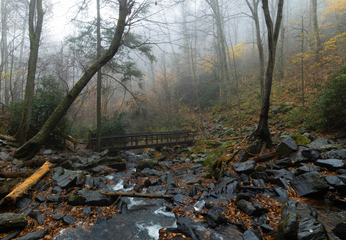 ct-Blue-Ridge-Parkway-fall-hiking