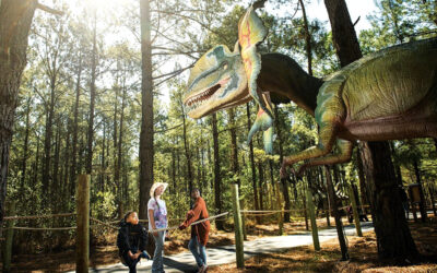 🔑350 Animals, Dinosaurs, and an ATV — Welcome to Sweet Valley Ranch Near Fayetteville