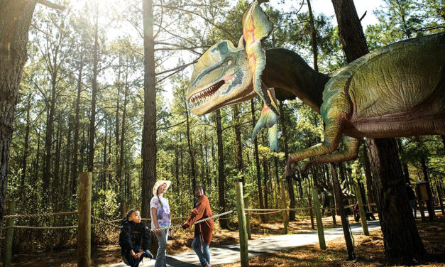 🔑350 Animals, Dinosaurs, and an ATV — Welcome to Sweet Valley Ranch Near Fayetteville