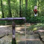 🔑 The Spring in the Middle of Nowhere That People Drive Hours to Drink From