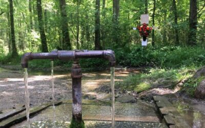 The Spring in the Middle of Nowhere That People Drive Hours to Drink From