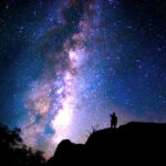Seize the Night