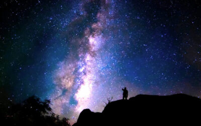 Seize the Night