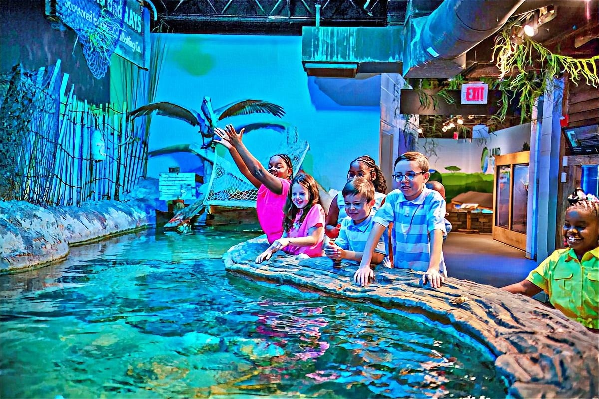 catawba science aquarium-color