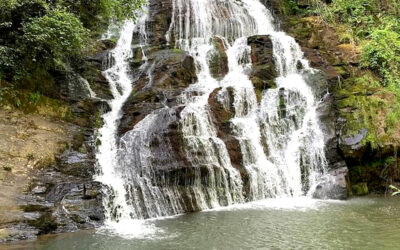 🔑 Brasstown Falls Is Worth Every Step