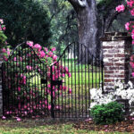 🔑 The Monks Don’t Talk. The Gardens Don’t Need To. Serenity At…