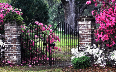 🔑 The Monks Don’t Talk. The Gardens Don’t Need To. Serenity At Mepkin Abbey.