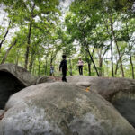 🔑 The 7,000-Year-Old Secret Sitting in South Charlotte