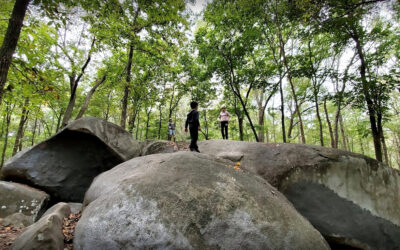 The 7,000-Year-Old Secret Sitting in South Charlotte