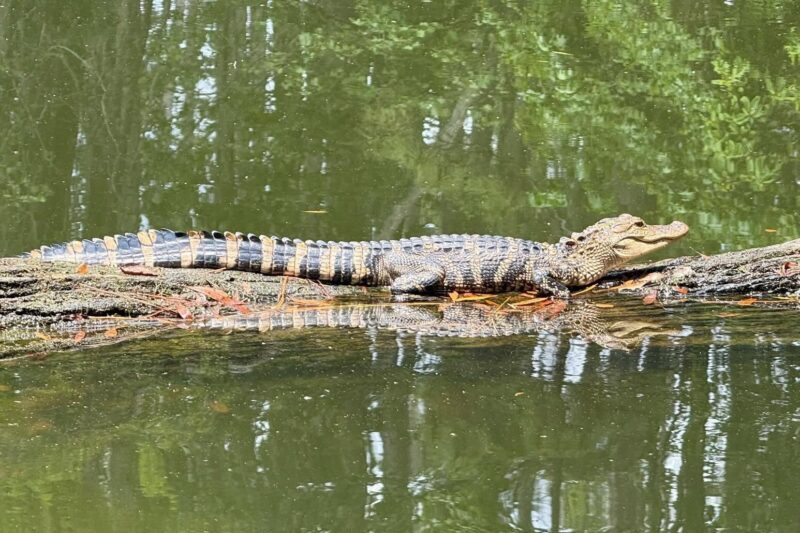 h20 sports facebook gator tour 3 (1)