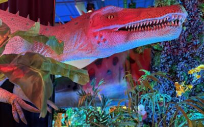 Enter to Win Catawba Science Center Tickets