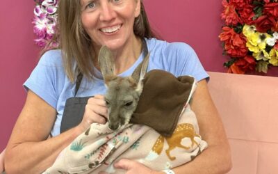 Painting with Kangaroos at Wine & Design in Matthews, NC